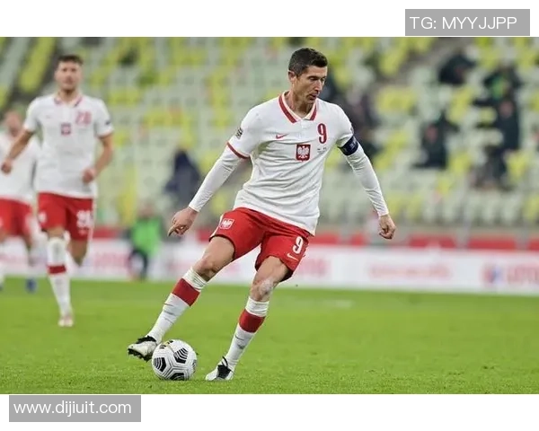 冰岛足球巨星的传奇之路与国家荣耀的交织